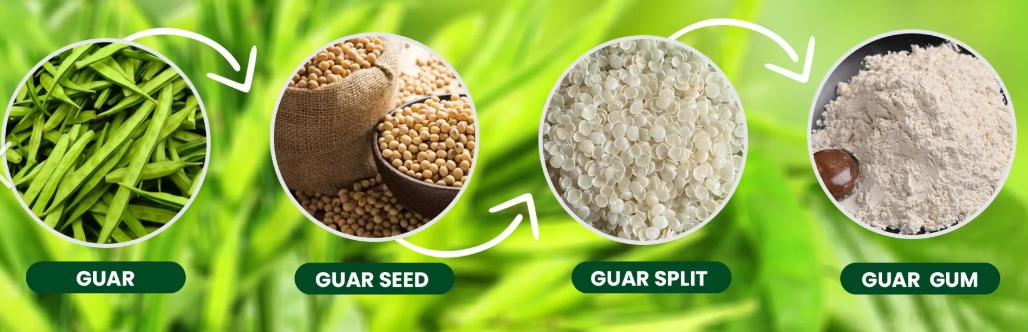 Guar Gum product photo - main preview